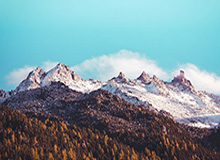 小岛秀夫客串出演《疯狂动物城2》