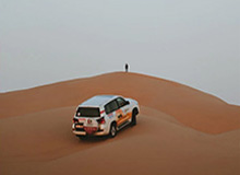 小岛秀夫客串出演《疯狂动物城2》