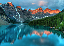 小岛秀夫客串出演《疯狂动物城2》