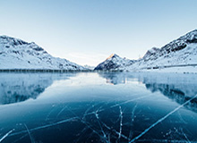 小岛秀夫客串出演《疯狂动物城2》