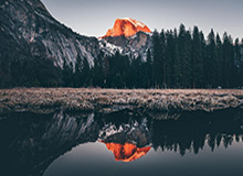 小岛秀夫客串出演《疯狂动物城2》